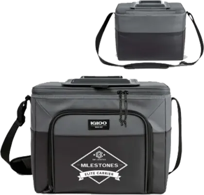 BBI Milestones branded cooler bag