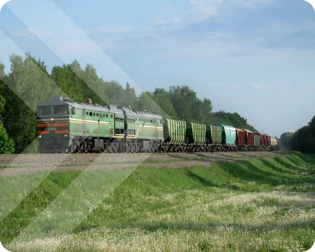 A freight train surrounded by meadow and trees.